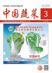 《中国蔬菜》