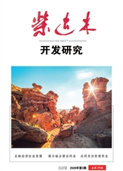 《柴达木开发研究》