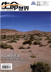 《生命世界》