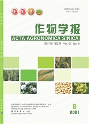 《作物学报》
