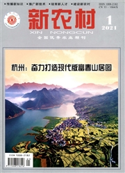 《新农村》
