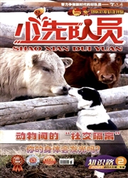 《少先队员：知识路》