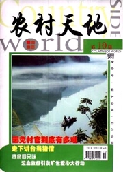 《农村天地》