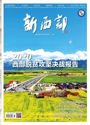 《新西部》