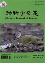 《动物学杂志》