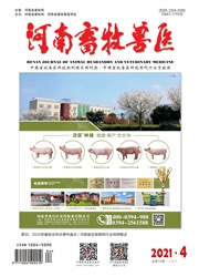 《河南畜牧兽医：市场版》