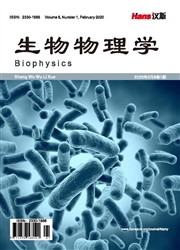 《生物物理学》