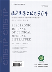 《临床医药文献电子杂志》