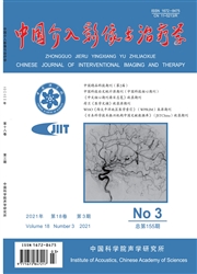 《中国介入影像与治疗学》