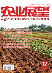 《农业展望》