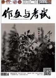 《作文与考试：高中版》