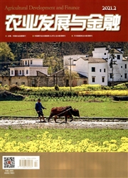 《农业发展与金融》