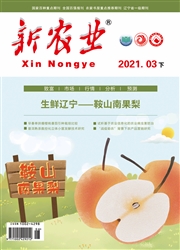 《新农业》