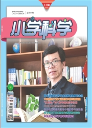 《小学科学：教师》