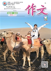《作文：初中年级》