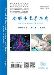 《局解手术学杂志》