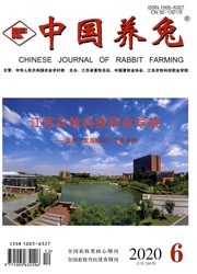 《中国养兔》