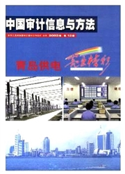 《中国审计信息与方法》