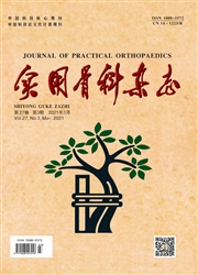 《实用骨科杂志》