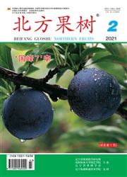 《北方果树》