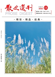 《散文选刊：中旬刊》