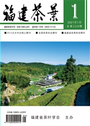 《福建茶叶》