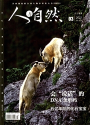 《人与自然》