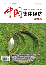 《中国集体经济》
