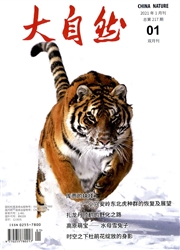 《大自然》