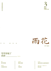 《雨花》
