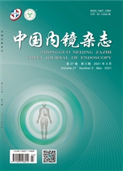 《中国内镜杂志》