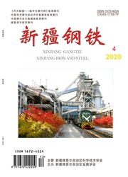 《新疆钢铁》