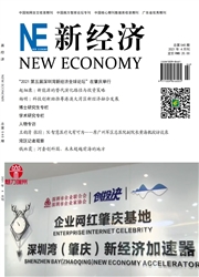 《新经济》