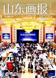 《山东画报》