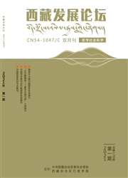 《西藏发展论坛》