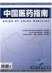 《中国医药指南：学术版》