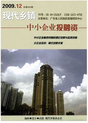 《现代乡镇》