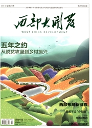 《西部大开发》