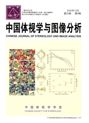《中国体视学与图像分析》