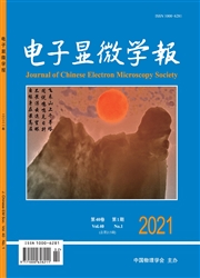 《电子显微学报》