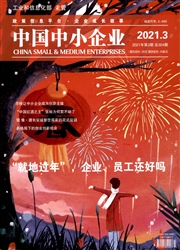 《中国中小企业》