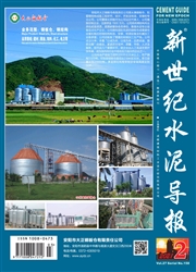 《新世纪水泥导报》