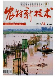 《农村新技术：加工版》