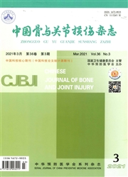 《中国骨与关节损伤杂志》