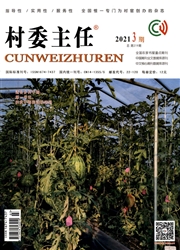 《村委主任》