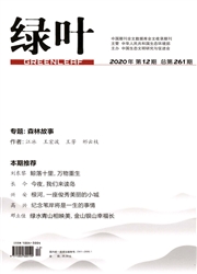 《绿叶》