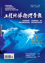 《工程地球物理学报》