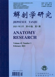 《解剖学研究》