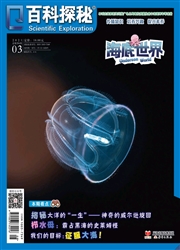 《百科探秘：海底世界》