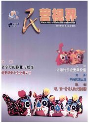 《民营视界》